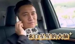 黄磊吃鸡爆料视频大全最新,揭秘明星厨房里的美食传奇