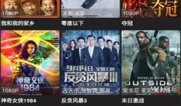 哈利克最新爆料视频大全,揭秘幕后真相与精彩瞬间