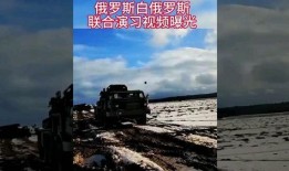 俄国最新爆料视频大全集,视频大全集深度解析