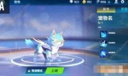 最新飞车宠物大爆料,神秘宠物来袭，激战一触即发！