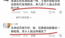 长沙小学爆料事件最新消息,真相揭开，家长震惊不已
